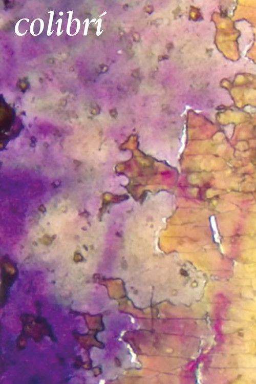 Colibrí (2013) poster