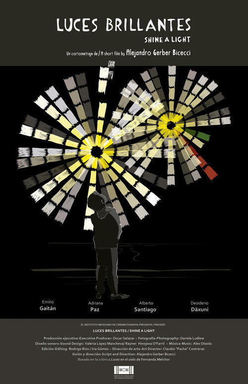 Shine a Light (2016) poster