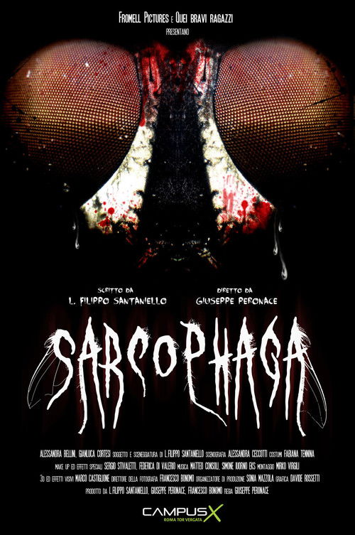 Sarcophaga (2013) poster