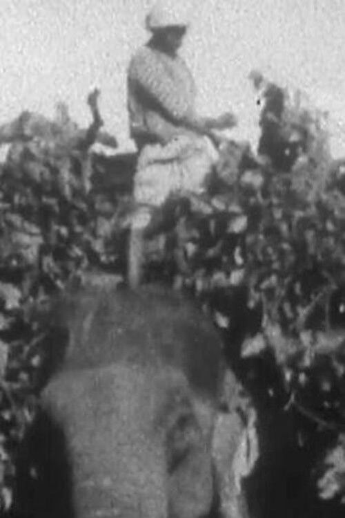 Indian Elephants in the Service of Man (1938) poster