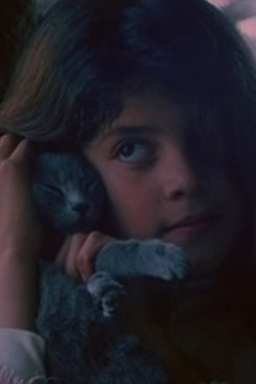 El eco (1984) poster