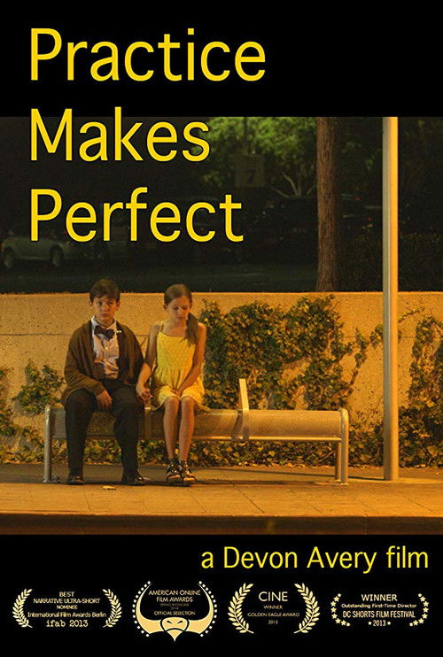 Practice Makes Perfect (2013) poster