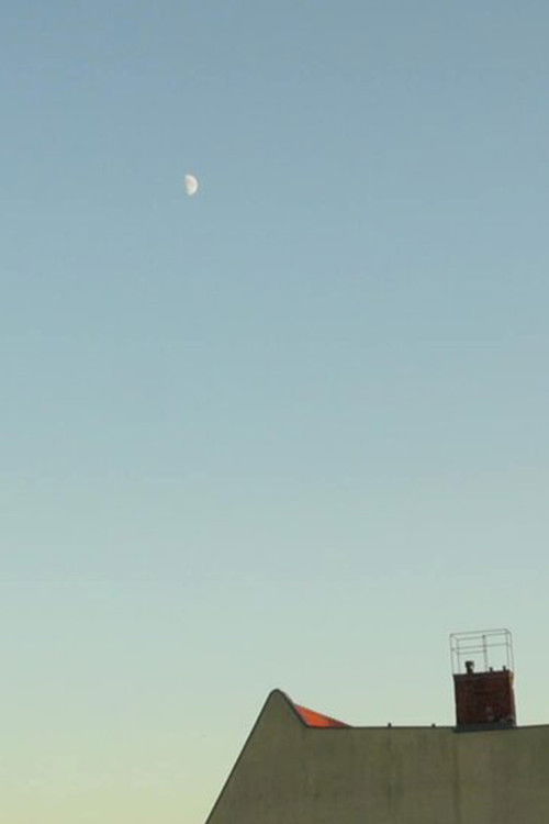 Notes from the Neighbourhood (2019) poster