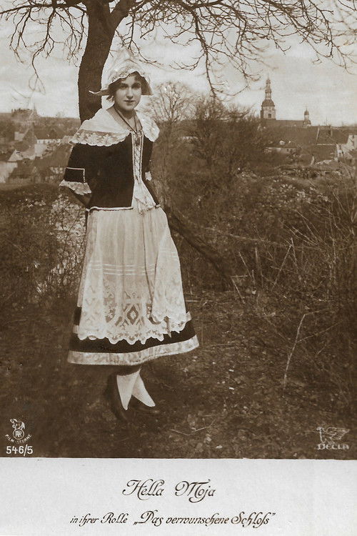 Das verwunschene Schloß (1919) poster