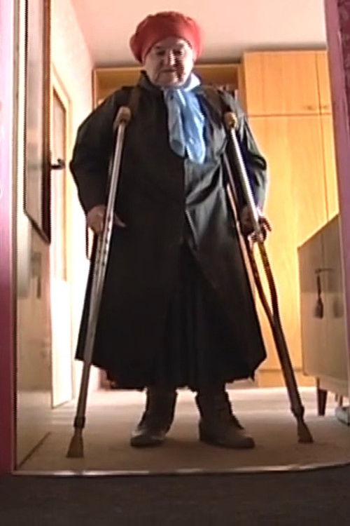 Transmitting Baba (2001) poster