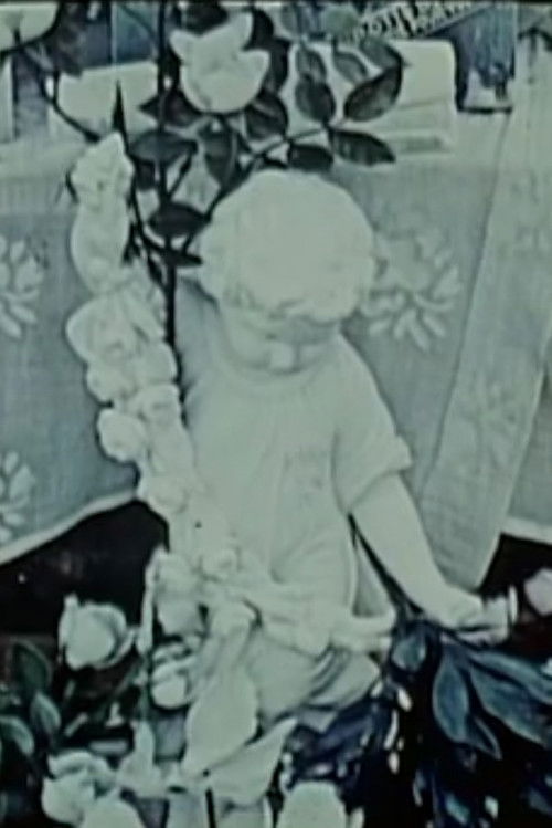 In Repose (1977) poster