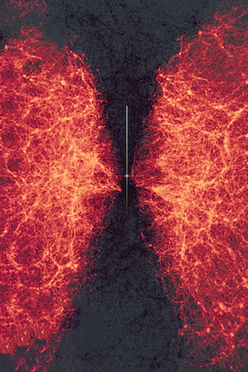 data-verse 1 (2019) poster