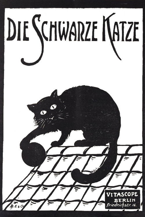 Die schwarze Katze 1. Teil (1912) poster