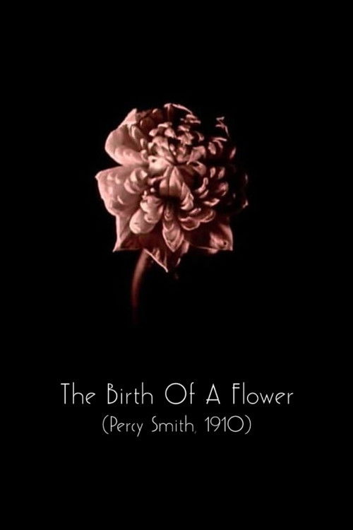 The Birth of a Flower (1910) poster