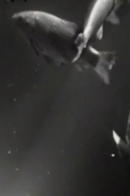 TV-Aquarium (TV-Death 1) (1970) poster