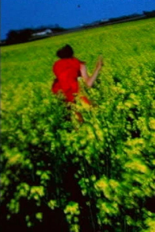 Nirona (1968) poster