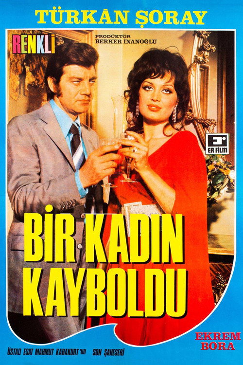 Bir Kadın Kayboldu (1971) poster