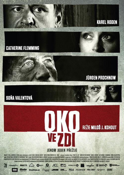 Oko ve zdi (2009) poster