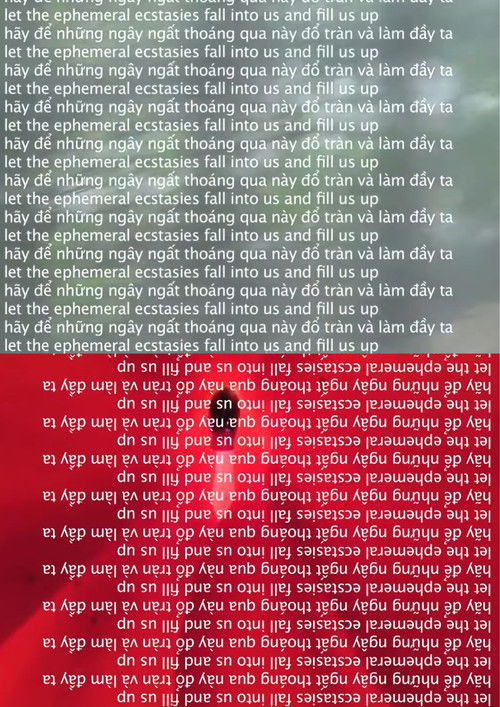 let the ephemeral ecstasies fall into us and fill us up (2014) poster