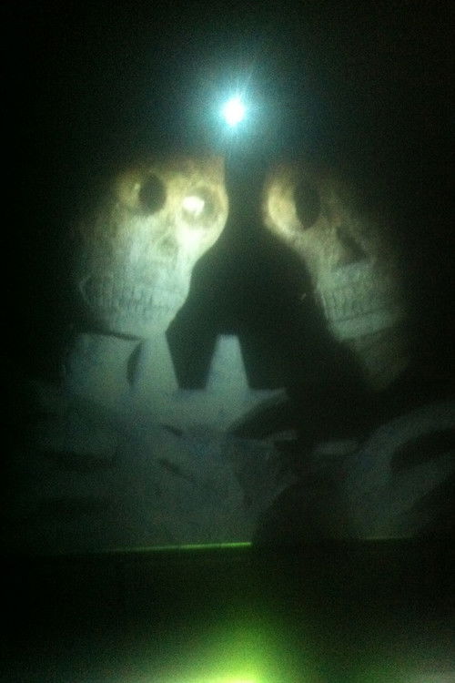 Fireworks (Archives) (2014) poster