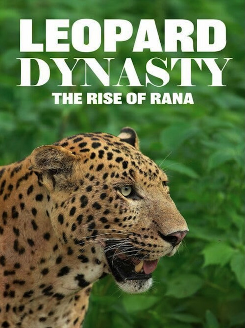 Leopard Dynasty – The Rise of Rana (2025) poster