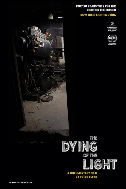 The Dying of the Light (2015) poster