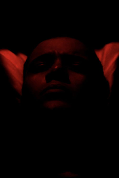 Incubador (2017) poster