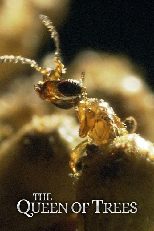 The Queen of Trees (2005) poster