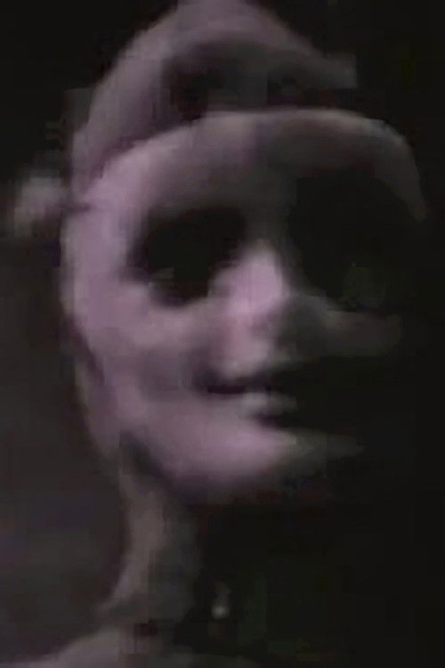 Voidoid (1999) poster