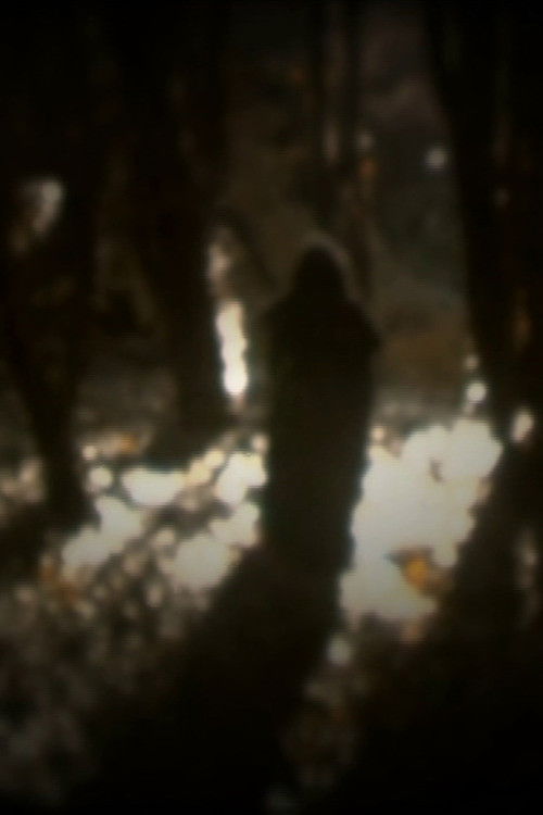 O senso dos desatinados (2006) poster