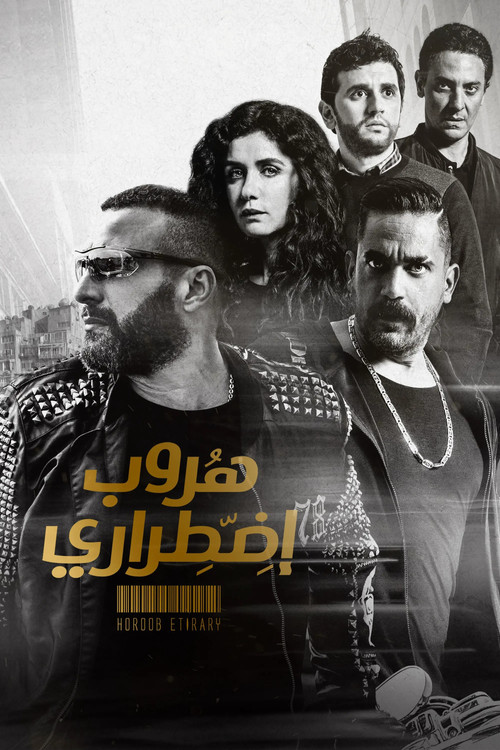هروب إضطراري (2017) poster