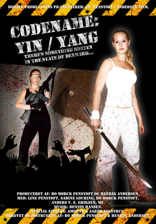 Codename: Yin/Yang (2006) poster