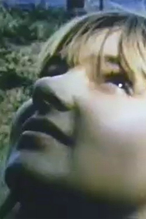 Bibi Hansen (2006) poster