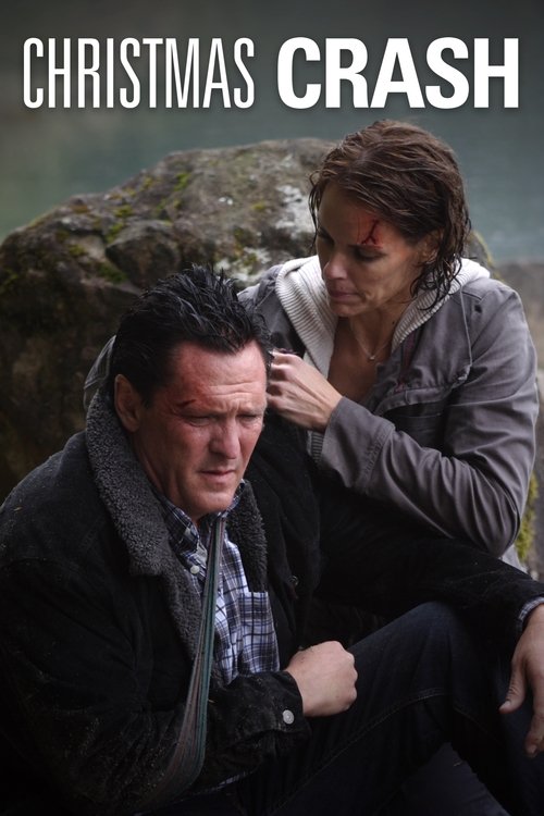 Christmas Crash (2009) poster