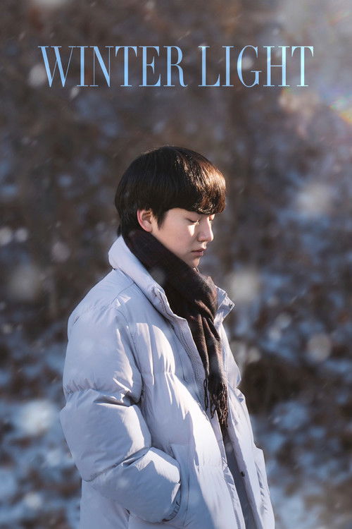 겨울의 빛 (2026) poster