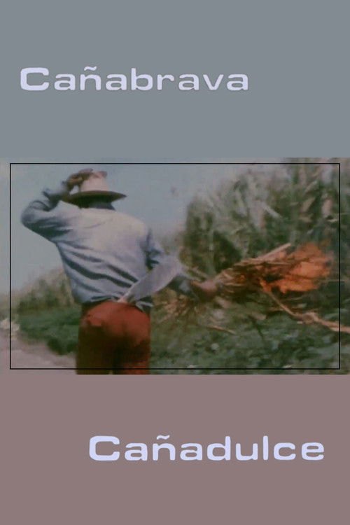 Cañabrava Cañadulce (1980) poster