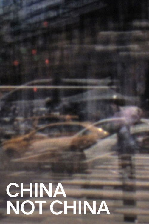 China Not China (2018) poster