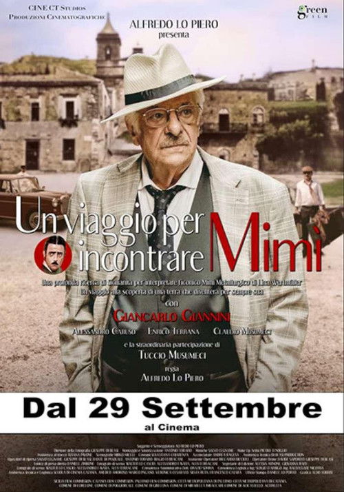 Un viaggio per incontrare Mimì (2025) poster