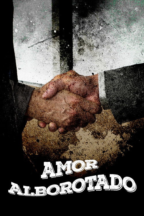 Amor alborotado (2012) poster