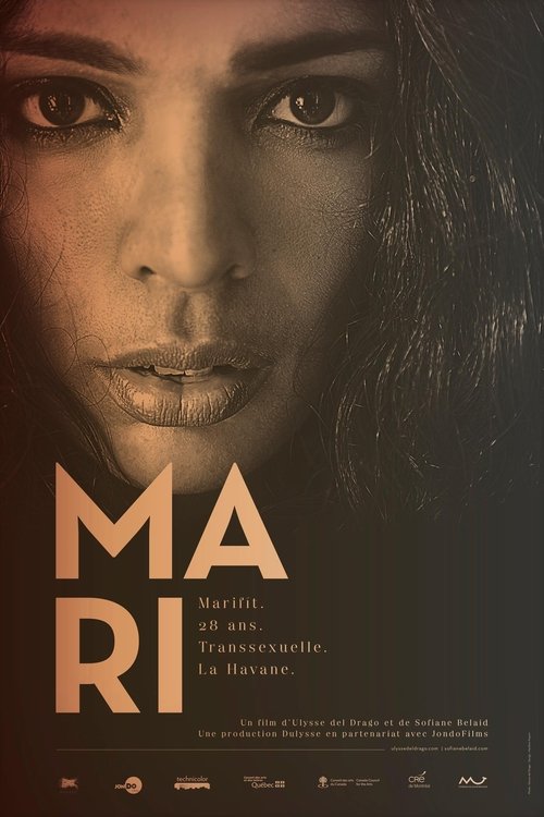 Mari (2012) poster