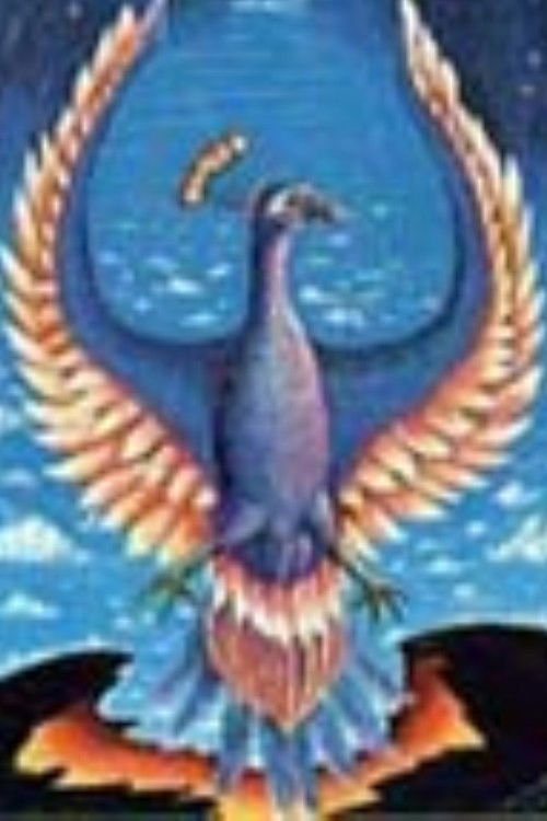 A Whole New Life! ...Through Past Life Therapy (1990) poster