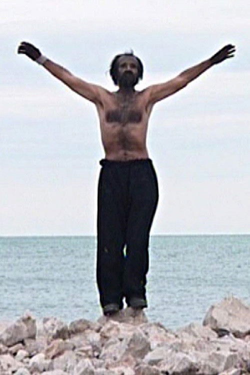 The Old Master (2011) poster