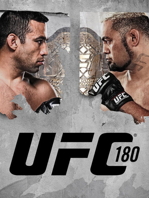 UFC 180: Werdum vs. Hunt (2014) poster