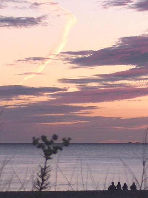 Bienadanza (2023) poster