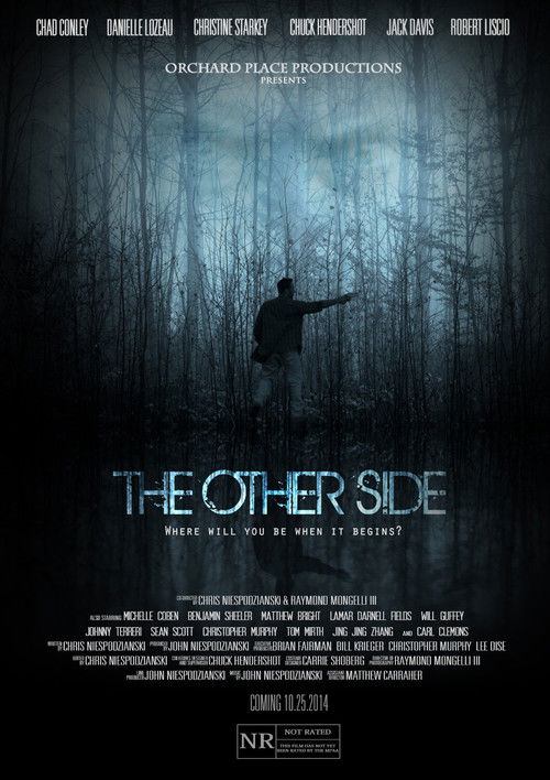 The Other Side (2014) poster