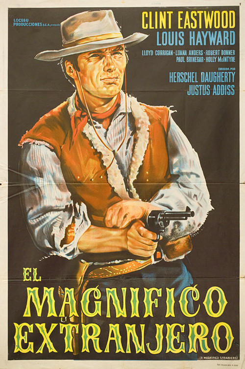The Magnificent Stranger (1966) poster