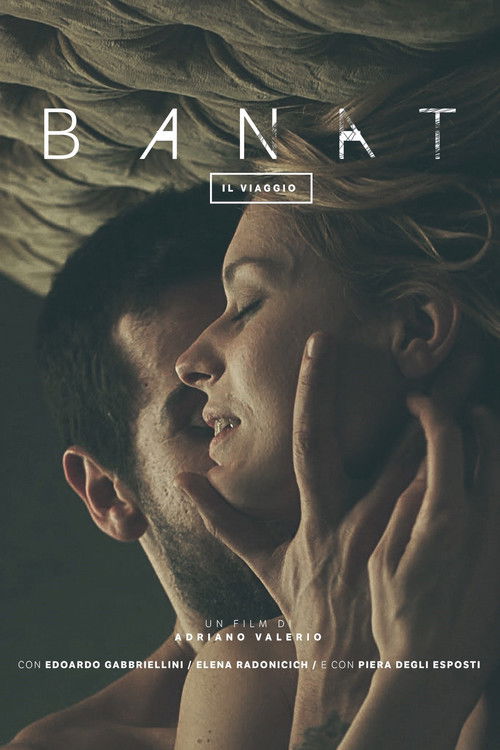 Banat (Il Viaggio) (2015) poster
