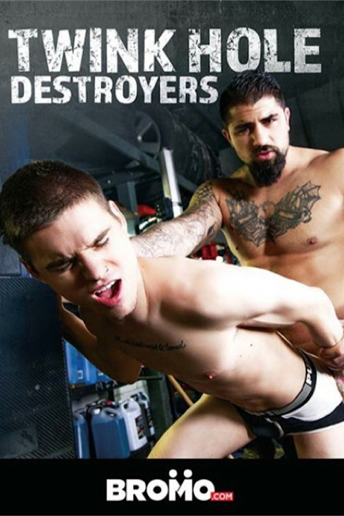 Twink Hole Destroyers (2021) poster