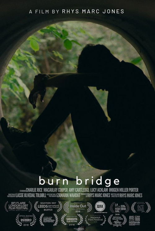 Burn Bridge (2017) poster
