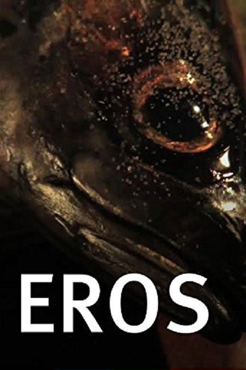 Eros (2008) poster