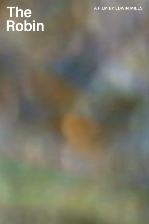 The Robin (2024) poster