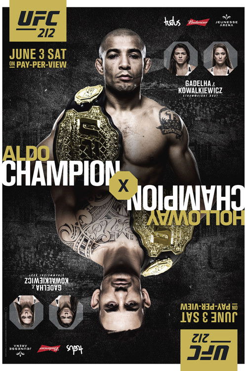UFC 212: Aldo vs. Holloway (2017) poster
