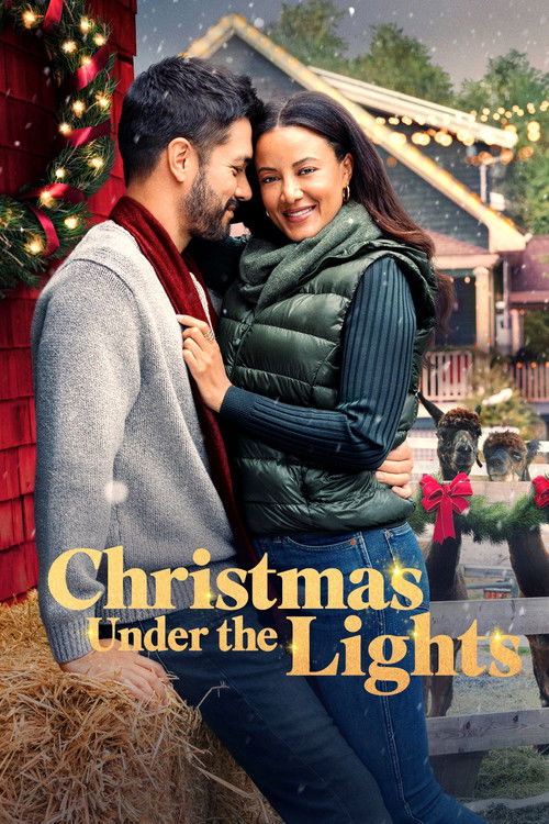 Christmas Under the Lights (2024) poster