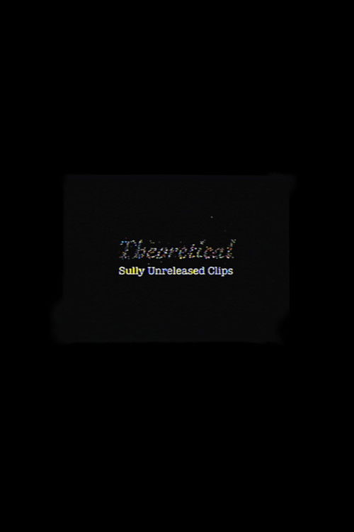 Theoretical: Sully Unreleased Clips (2024) poster