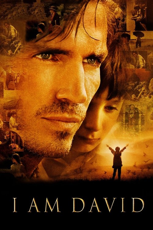 Adım David (2003) poster